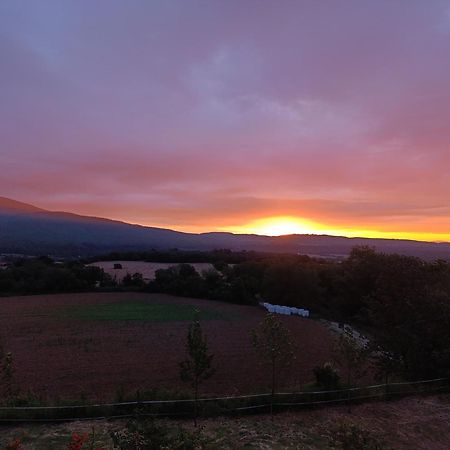 Mas Pitre Bed & Breakfast Besalú Екстериор снимка